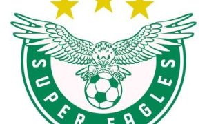Super Eagles Logo
