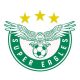 Super Eagles Logo